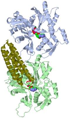 Image Asym./Biol. Unit