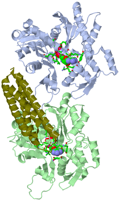 Image Asym./Biol. Unit - sites