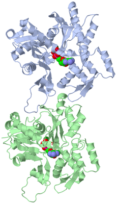 Image Asym./Biol. Unit