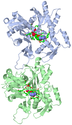 Image Asym./Biol. Unit - sites