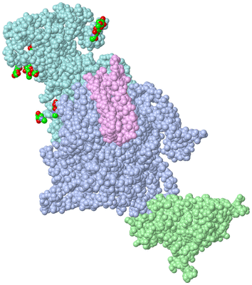 Image Asym./Biol. Unit