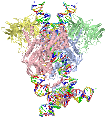 Image Asym./Biol. Unit