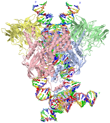 Image Asym./Biol. Unit - sites