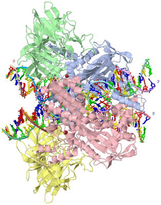 Image Asym./Biol. Unit