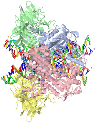 Image Asym./Biol. Unit - sites