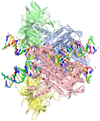 Image Asym./Biol. Unit