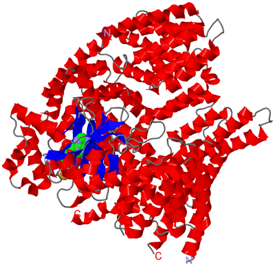 Image Asym./Biol. Unit