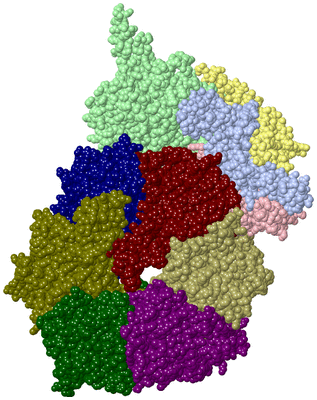 Image Asym./Biol. Unit