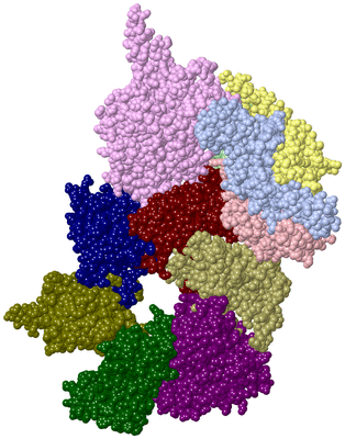 Image Asym./Biol. Unit - sites