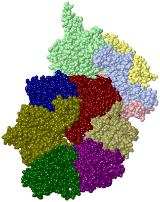 Image Asym./Biol. Unit - sites