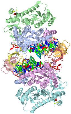 Image Asym./Biol. Unit