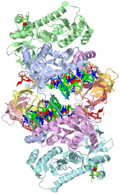 Image Asym./Biol. Unit - sites