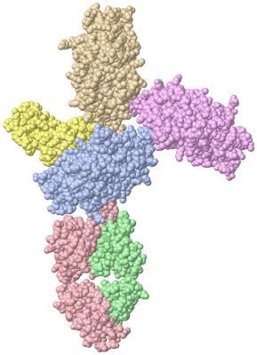 Image Asym./Biol. Unit