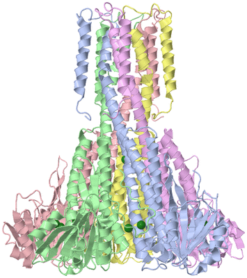 Image Asym./Biol. Unit