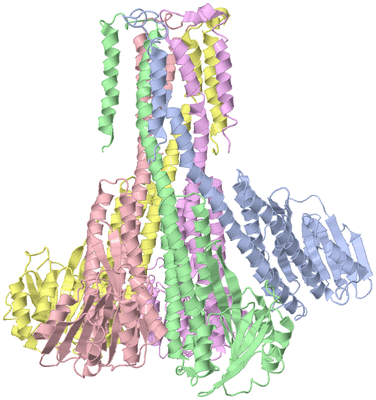 Image Asym./Biol. Unit