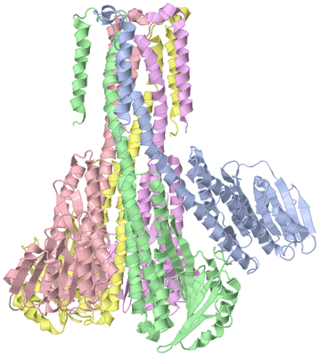 Image Asym./Biol. Unit