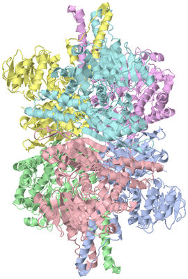 Image Asym./Biol. Unit