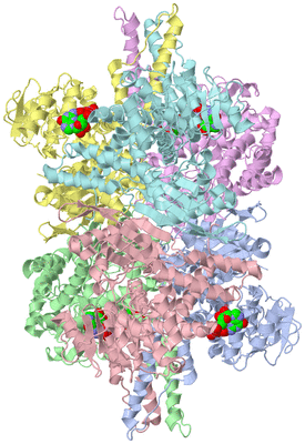 Image Asym./Biol. Unit