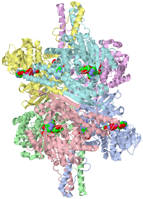 Image Asym./Biol. Unit