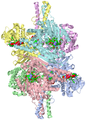 Image Asym./Biol. Unit - sites