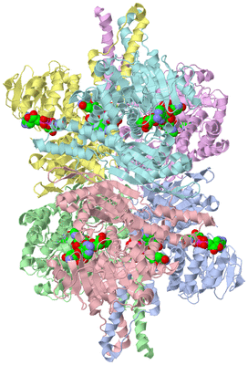 Image Asym./Biol. Unit