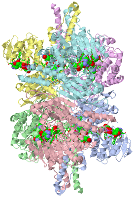 Image Asym./Biol. Unit - sites