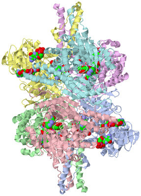 Image Asym./Biol. Unit