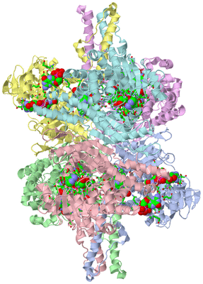 Image Asym./Biol. Unit - sites