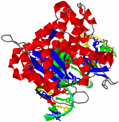 Image Asym./Biol. Unit