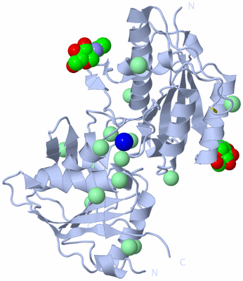 Image Biological Unit 1