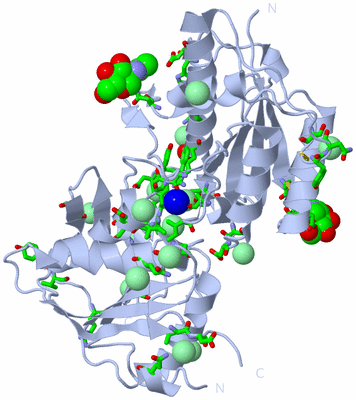 Image Biol. Unit 1 - sites