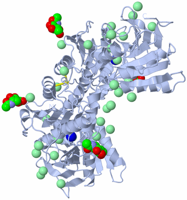 Image Biological Unit 2