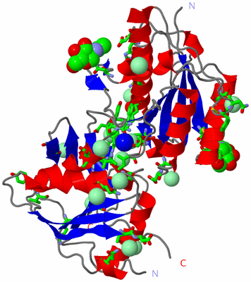 Image Asym. Unit - sites