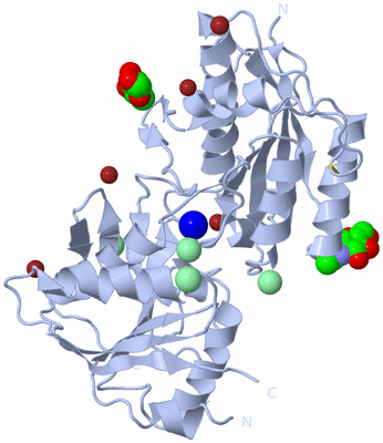 Image Biological Unit 1