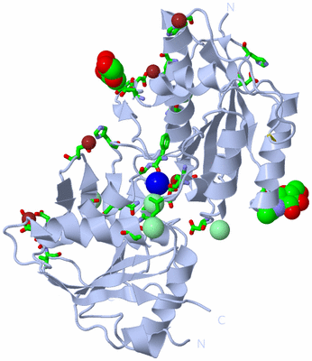 Image Biol. Unit 1 - sites