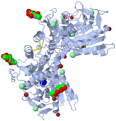 Image Biological Unit 2