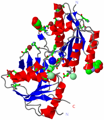 Image Asym. Unit - sites