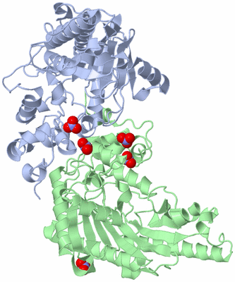 Image Biological Unit 1