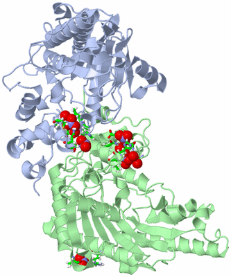 Image Biol. Unit 1 - sites