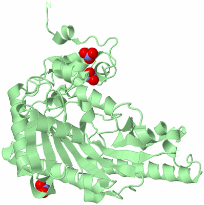 Image Biological Unit 3