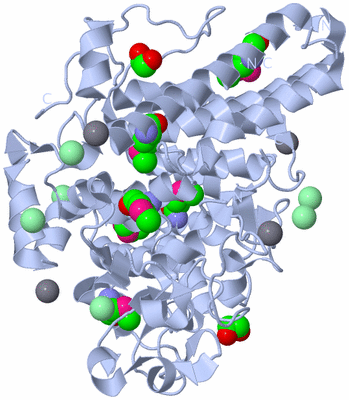 Image Biological Unit 1