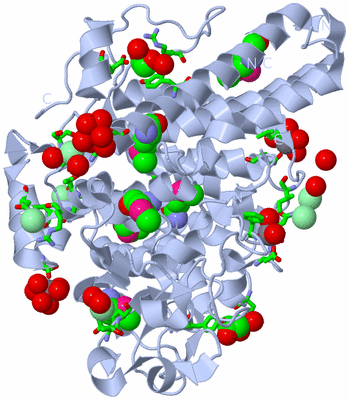 Image Biol. Unit 1 - sites