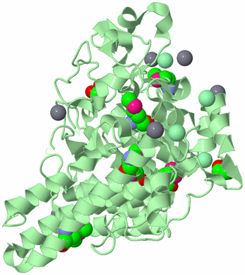 Image Biological Unit 2