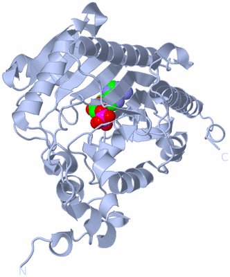 Image Biological Unit 2