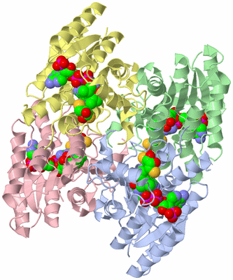 Image Asym./Biol. Unit