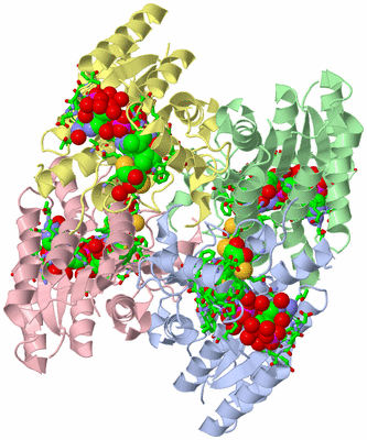 Image Asym./Biol. Unit - sites