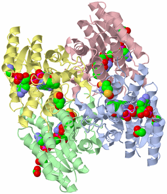 Image Asym./Biol. Unit