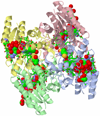 Image Asym./Biol. Unit - sites