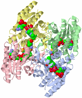 Image Asym./Biol. Unit