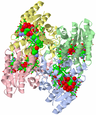 Image Asym./Biol. Unit - sites